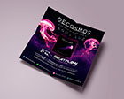 Flyers: Decosmos