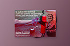 Flyers: Como te extraño los domingos
