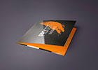 Flyer triptico: Prograf