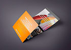 Flyer triptico: Prograf