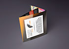 Flyer triptico: Prograf
