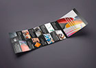 Flyer triptico: Prograf